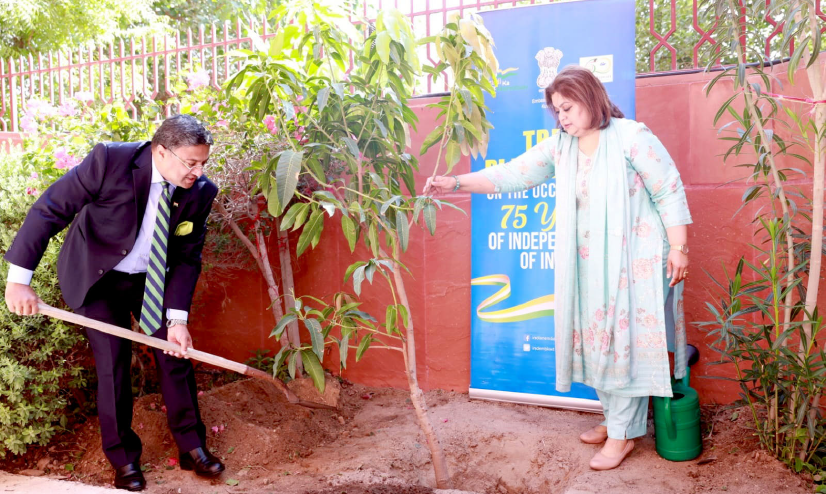 പരിസ്ഥിതി ദിനം: എംബസി അങ്കണത്തിൽ മരം നട്ടു