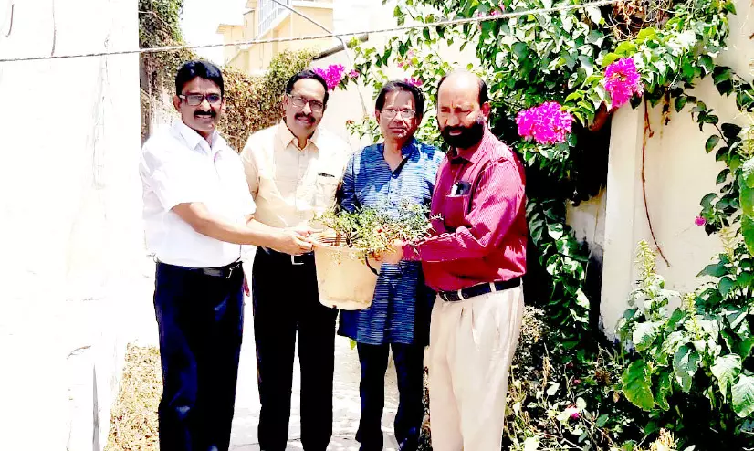 പരിസ്ഥിതി ദിനം ആഘോഷിച്ചു