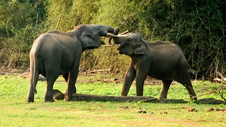 സുപ്രിംകോടി വിധിയെ എതിർക്കുന്നത് ക്വാറി മാഫിയ- പ്രകൃതി സംരക്ഷണ സമിതി സുപ്രിംകോടി വിധിയെ എതിർക്കുന്നത് ക്വാറി മാഫിയ- പ്രകൃതി സംരക്ഷണ സമിതി