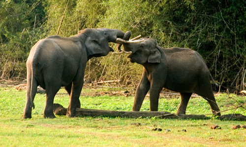 സുപ്രിംകോടി വിധിയെ എതിർക്കുന്നത് ക്വാറി മാഫിയ- പ്രകൃതി സംരക്ഷണ സമിതി