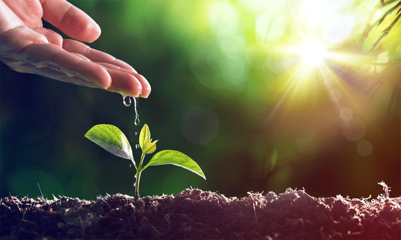 കാവലാകാം, തണലേകാൻ കാവലാകാം, തണലേകാൻ