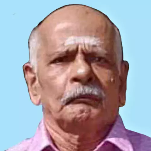 പ്ര​ഭാ​ക​ര​ൻ നാ​യ​ർ