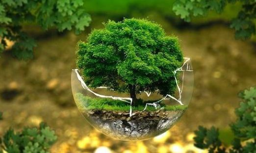 ആഗോള പരിസ്ഥിതിയും സാമൂഹികനീതിയും