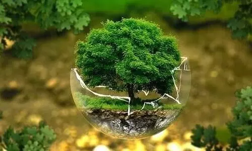 ആഗോള പരിസ്ഥിതിയും സാമൂഹികനീതിയും