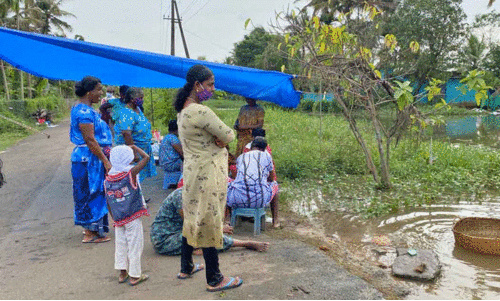പട്ടയത്തിനായി പുതുവൽകോളനിക്കാരുടെ കാത്തിരിപ്പ് നീളുന്നു പട്ടയത്തിനായി പുതുവൽകോളനിക്കാരുടെ കാത്തിരിപ്പ് നീളുന്നു