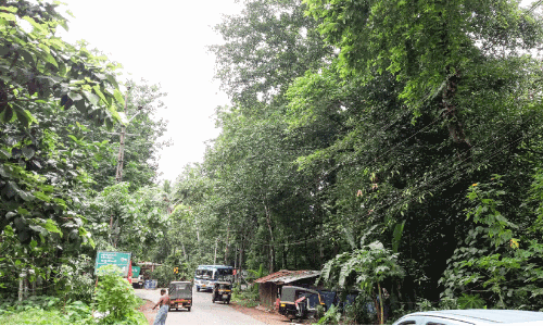 ചു​ണ്ടി​നും ക​പ്പി​നും ഇ​ട​യി​ൽ പ​ട്ട​യം വ​ഴു​തി