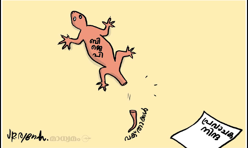 ഗൗളിനയതന്ത്രം