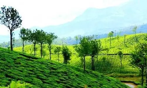 പരിസ്ഥിതിലോല മേഖല: പ്രതിസന്ധി മറികടക്കാൻ കേരളം കർമപദ്ധതി ഒരുക്കുന്നു