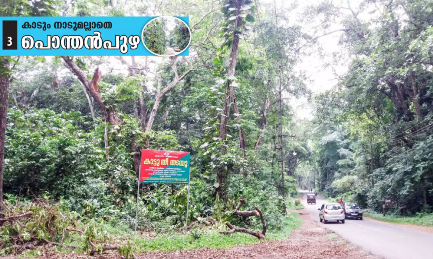 വനംവകുപ്പിന് ഒളിയജണ്ട; ദുരിതം ജനത്തിന്