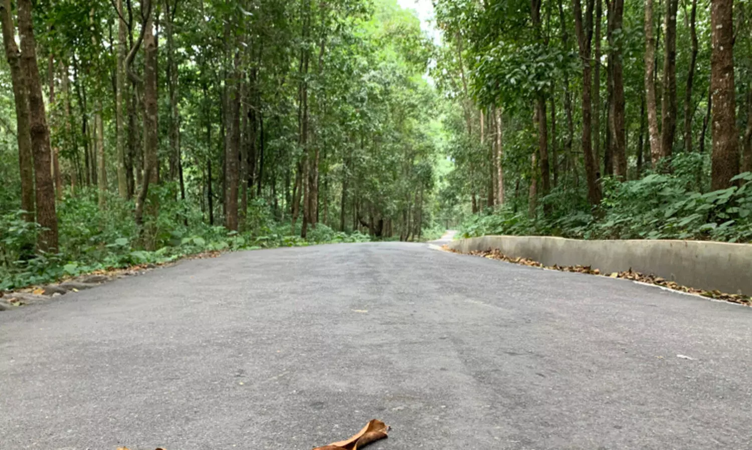 പരിസ്ഥിതിലോല മേഖല; ഇടുക്കിയിൽ എൽ.ഡി.എഫ്, യു.ഡി.എഫ് ഹർത്താൽ