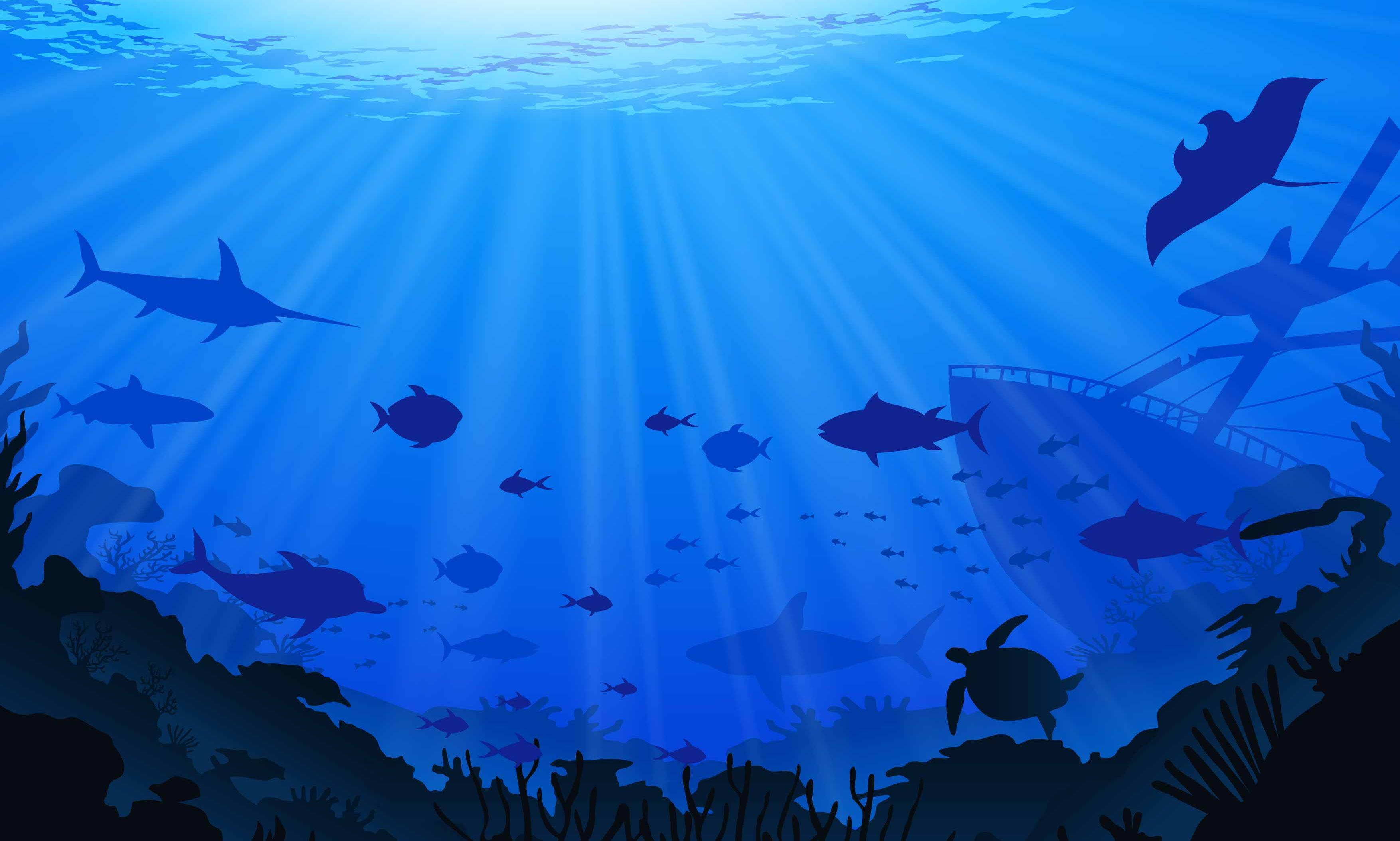 Ocean Ocean