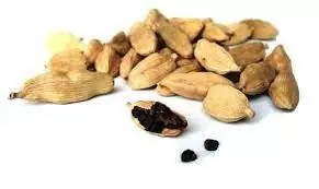 Poisonous cardamom