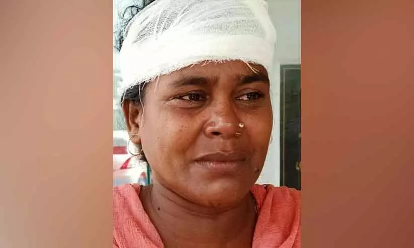 പിങ്ക് പൊലീസിനെ ആക്രമിച്ചെന്ന കേസിൽ യുവതി പിടിയിൽ പിങ്ക് പൊലീസിനെ ആക്രമിച്ചെന്ന കേസിൽ യുവതി പിടിയിൽ