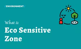 പരിസ്ഥിതിലോല മേഖല: കേരളം ഭേദഗതി ഹരജി സമർപ്പിക്കും