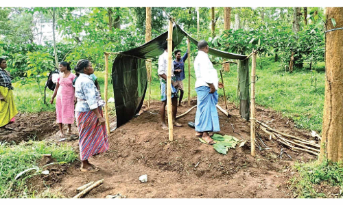 പാമ്പ്ര ഭൂസമരം ശക്തമാകുന്നു; കുടിൽ കെട്ടുന്നവരുടെ എണ്ണം വർധിച്ചു