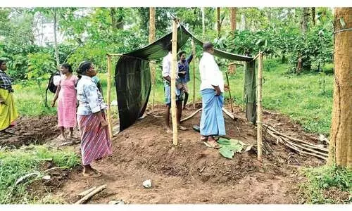 പാമ്പ്ര ഭൂസമരം ശക്തമാകുന്നു; കുടിൽ കെട്ടുന്നവരുടെ എണ്ണം വർധിച്ചു