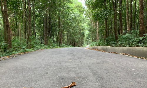 വനമേഖലയിലുള്ളവരെ പുനരധിവസിപ്പിക്കല്‍: പദ്ധതിയിൽ മാറ്റം വേണമെന്ന് സർക്കാറിനോട് ആവശ്യപ്പെടും