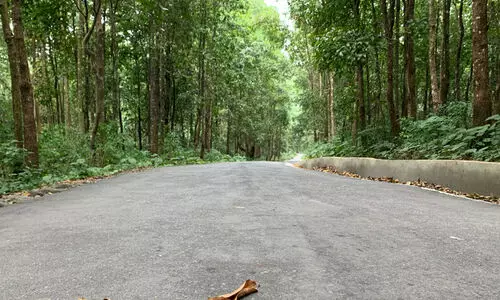 പരിസ്ഥിതിലോല മേഖല; ഇടുക്കിയിൽ എൽ.ഡി.എഫ്, യു.ഡി.എഫ് ഹർത്താൽ