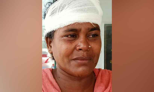 പിങ്ക് പൊലീസിനെ ആക്രമിച്ചെന്ന കേസിൽ യുവതി പിടിയിൽ