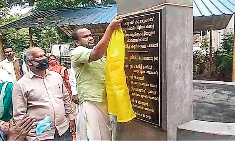 memory of mother memory of mother