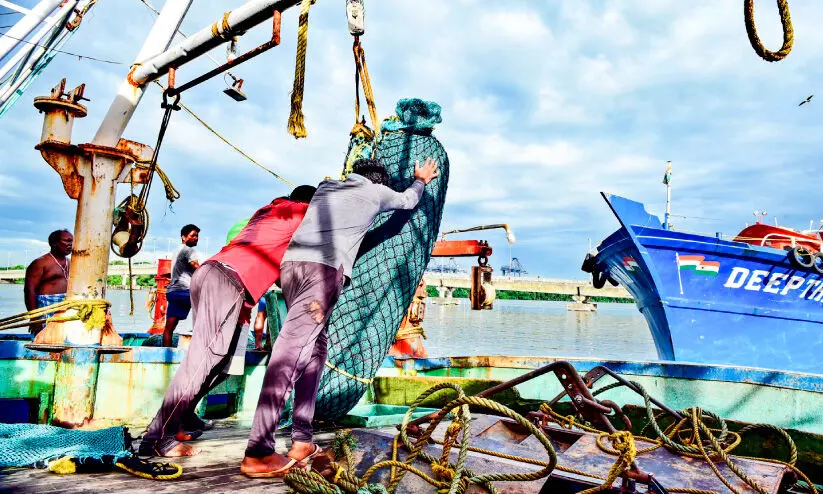 Prohibition of trolling is unscientific Prohibition of trolling is unscientific