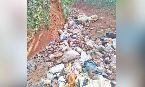 പൊതുവഴിയിൽ മാലിന്യ നിക്ഷേപം; പ്രദേശവാസികൾ ദുരിതത്തിൽ