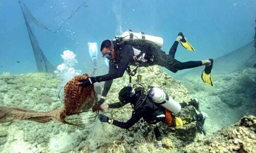 പരിസ്ഥിതി പ്രവർത്തകർ കൈകോർത്തു: 200 കിലോ മത്സ്യബന്ധനവലകൾ നീക്കി