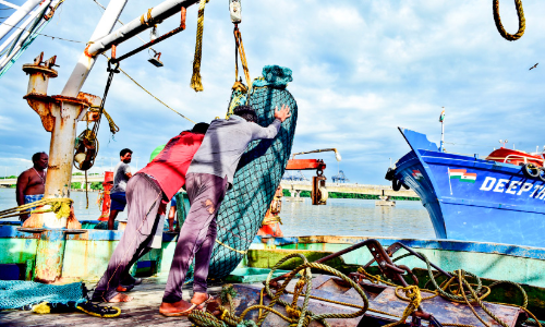 Prohibition of trolling is unscientific