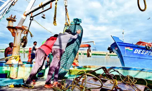 Prohibition of trolling is unscientific