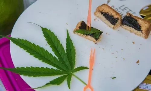 കഞ്ചാവ് നിയമ​വിധേയമാക്കി തായ്‍ലാൻഡ്; കേസുകളിൽ പ്രതികളായ 4,000ത്തോളം പേരെ മോചിപ്പിക്കും