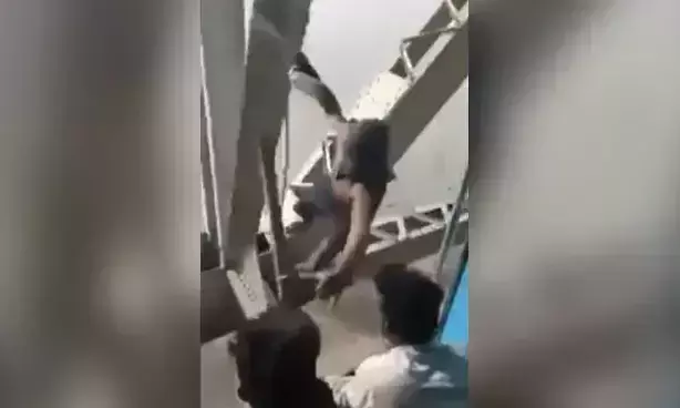 പോക്കറ്റടിക്കാരൻ സ്പൈഡർമാൻ; വൈറലായി ഒരു പോക്കറ്റടി