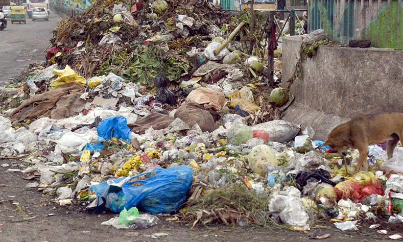 ബ്രഹ്മപുരത്ത്​ മാലിന്യ സംസ്കരണം നടക്കുന്നില്ലെന്ന്​ പ്രതിപക്ഷം