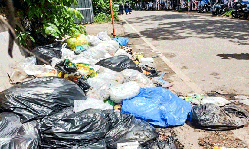 കായംകുളം മാലിന്യക്കുളമാകുന്നു കായംകുളം മാലിന്യക്കുളമാകുന്നു