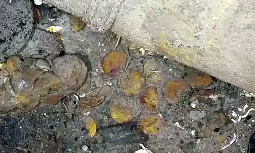 200 വർഷംമുമ്പ് മുങ്ങിയ കപ്പലുകളിൽ ലക്ഷം കോടിയുടെ സ്വർണം 200 വർഷംമുമ്പ് മുങ്ങിയ കപ്പലുകളിൽ ലക്ഷം കോടിയുടെ സ്വർണം