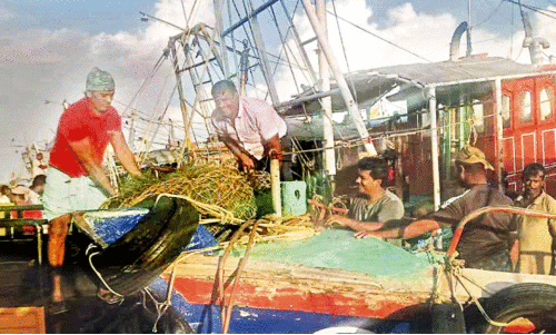 പ​ട്ടി​ണി​ത്തീ​ര​ത്ത്​ വീ​ണ്ടു​മൊ​രു ട്രോ​ളി​ങ് നി​രോ​ധ​നം