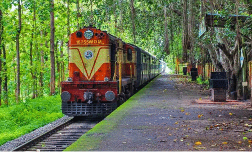 നി​ല​മ്പൂ​ർ-​ഷൊ​ർ​ണൂ​ർ പാ​ത​യി​ൽ ഈ ​മാ​സം ര​ണ്ട് സ​ർ​വി​സ് കൂ​ടി  പു​നഃ​സ്ഥാ​പി​ച്ചേ​ക്കും