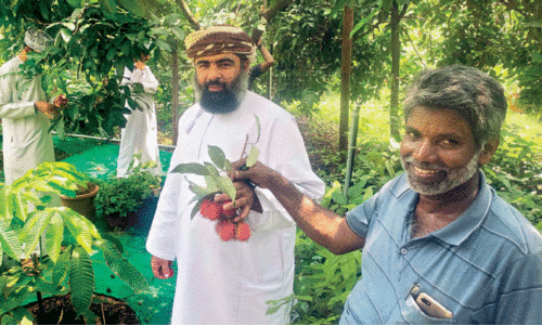 വി​ദേ​ശ പ​ഴ​ങ്ങ​ളു​ടെ പ​റു​ദീ​സ​യൊ​രു​ക്കി ​ഷം​സു​ദ്ദീ​ൻ