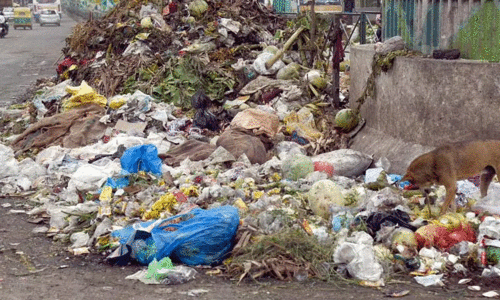 ബ്രഹ്മപുരത്ത്​ മാലിന്യ സംസ്കരണം നടക്കുന്നില്ലെന്ന്​ പ്രതിപക്ഷം