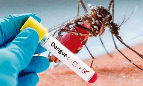 ആശങ്കയായി ഡെങ്കിപ്പനി; വ്യക്തിഗത സുരക്ഷയും ഉറവിട നശീകരണവും ഉറപ്പാക്കണം ആശങ്കയായി ഡെങ്കിപ്പനി; വ്യക്തിഗത സുരക്ഷയും ഉറവിട നശീകരണവും ഉറപ്പാക്കണം