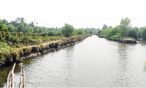 aquaculture aquaculture