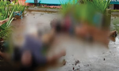 തേങ്ങയിടുന്നതിനിടെ തോട്ടി ഇലക്ട്രിക് ലൈനിൽ തട്ടി അച്ഛനും മകനും ഷോക്കേറ്റു മരിച്ചു