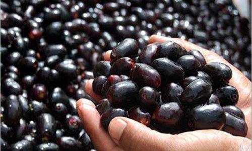 Njaval Pazham Njaval Pazham