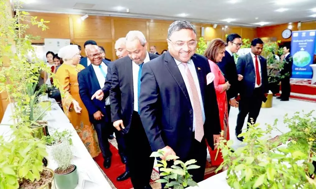 embassy environment celebration