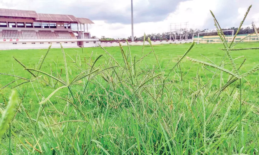 Payyanad Stadium is not properly maintained