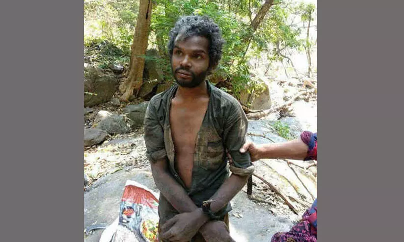 മധുവിന്‍റെ കൊലപാതകം: സ്പെഷൽ പ്രോസിക്യൂട്ടറെ മാറ്റാൻ മാതാവിന്‍റെ അപേക്ഷ