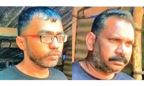 വയനാട്ടിൽ വൻ കഞ്ചാവ് വേട്ട