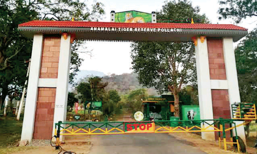 പറമ്പിക്കുളത്തേക്കുള്ള അതിർത്തിയിൽ നിയന്ത്രണവുമായി തമിഴ്നാട് വനം വകുപ്പ്