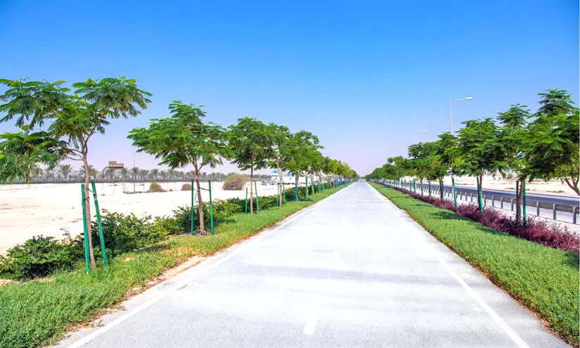 പച്ചപ്പണിഞ്ഞ്, പുതുമോടിയിൽ ദുഖാൻ റോഡ് പച്ചപ്പണിഞ്ഞ്, പുതുമോടിയിൽ ദുഖാൻ റോഡ്