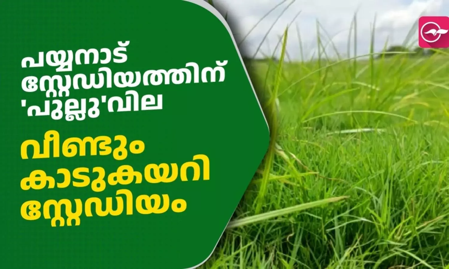 വീണ്ടും കാടുകയറി പയ്യനാട് സ്റ്റേഡിയം