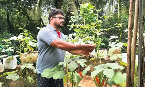 രാമകൃഷ്ണൻ കൃഷിയിറക്കുന്നു; പാഴ്വസ്തുക്കളിൽ